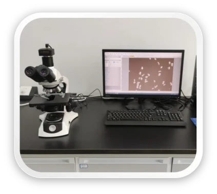Microscopy and sample observation